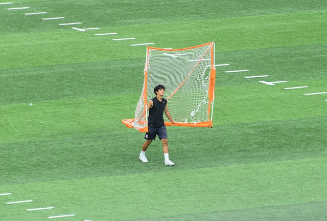 过早黄